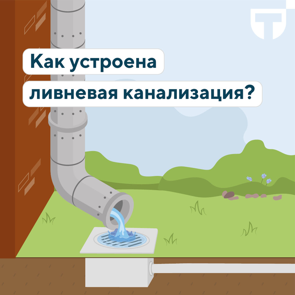 ливнёвка .png